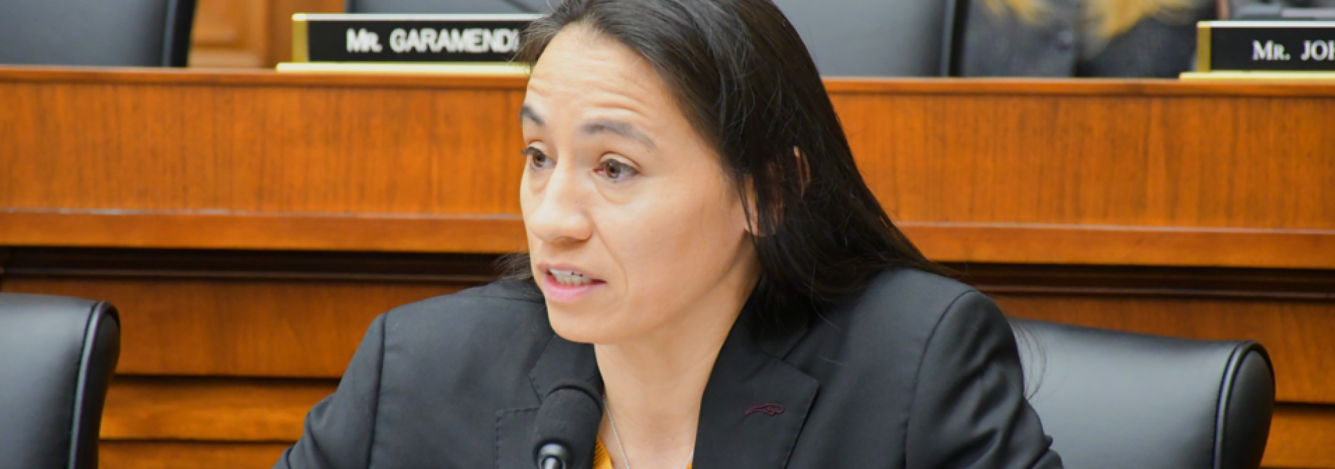 Rep. Davids during hearing
