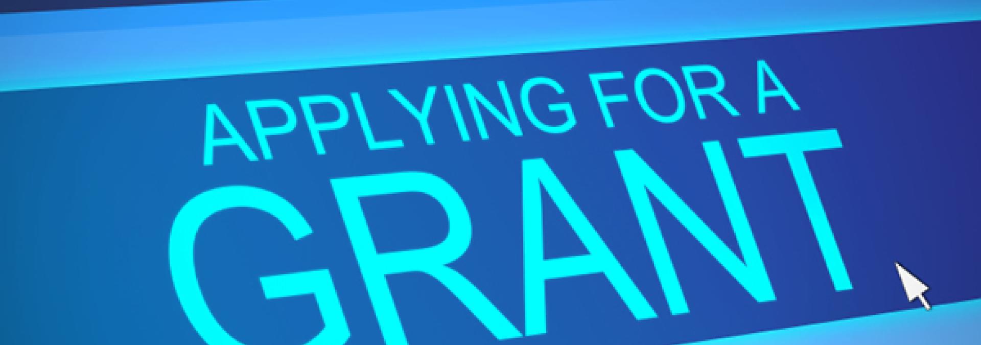 Computer screen applying for a Grant