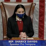 Davids presiding over House floor.