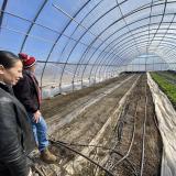 Congresswoman Davids touring a high tunnel
