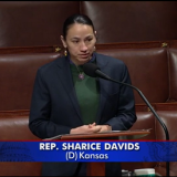 ShariceDavids at a podium on the House floor