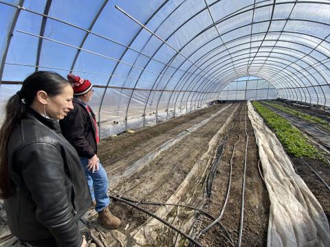 Congresswoman Davids touring a high tunnel