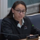 Rep. Davids during ag hearing