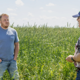 Rep. Davids at farm