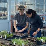 Rep. Davids and a Spring Hill High School student in a greenhouse